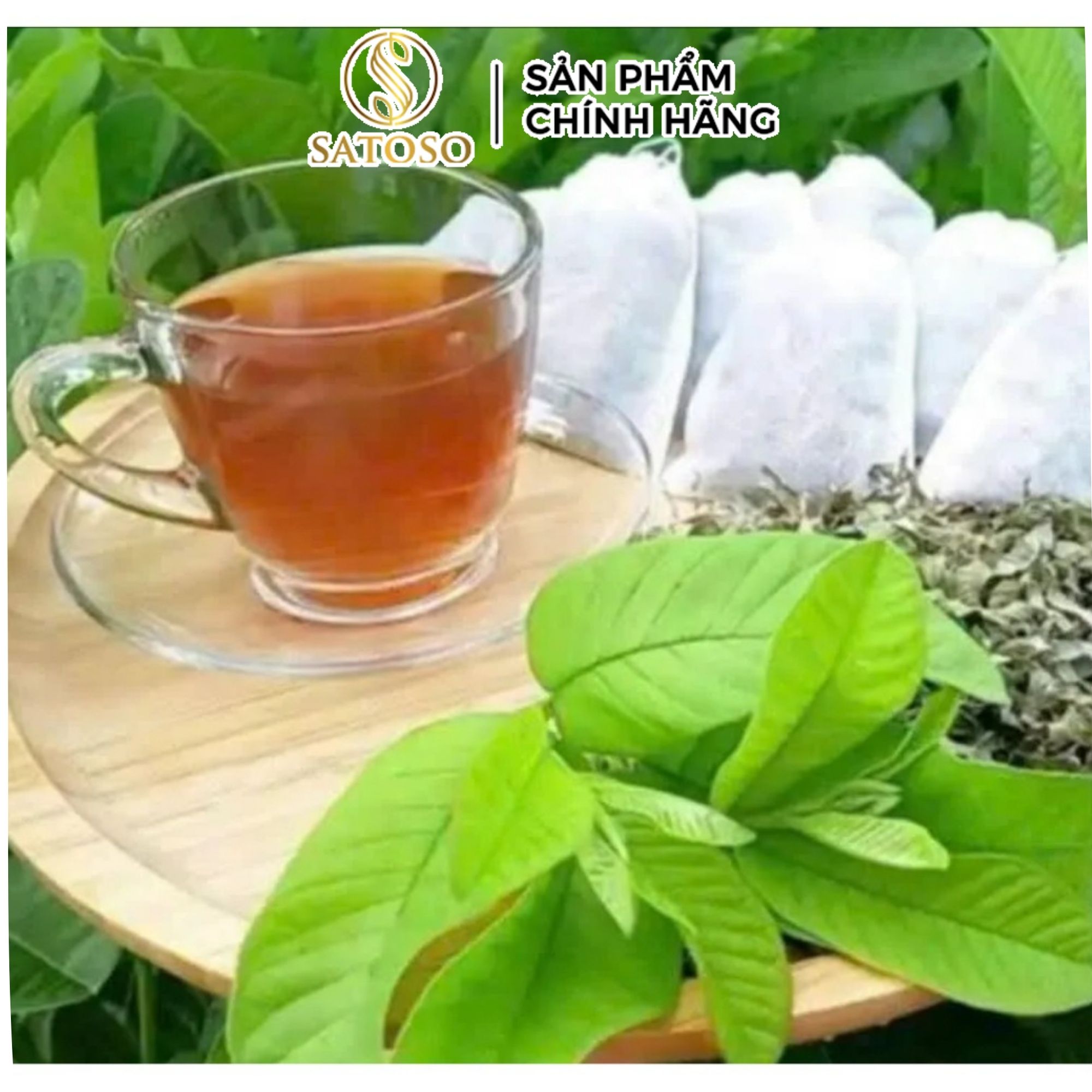 Trà Lá Ổi Dạng Túi Lọc Satoso Thượng Hạng Hỗ Trợ Sức Khoẻ