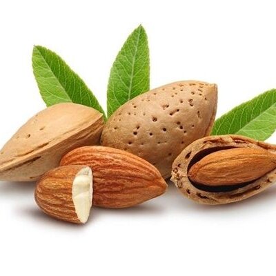 Kha tử khô SATOSO