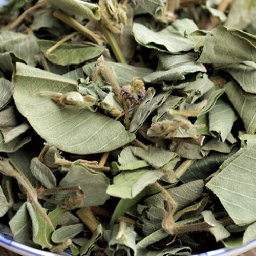 Kim Tiền Thảo Thượng Hạng SATOSO