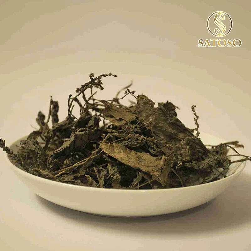 Cây mã đề khô SATOSO - Ảnh 4