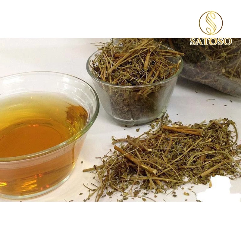 Cây mã đề khô SATOSO - Ảnh 3