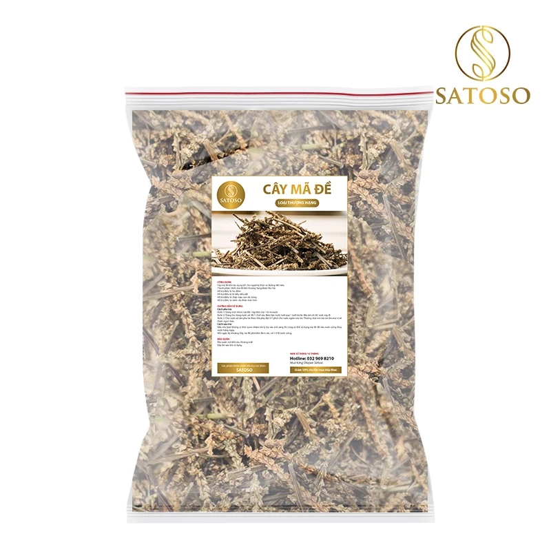 Cây mã đề khô SATOSO - Ảnh 2