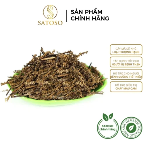 Cây mã đề khô SATOSO