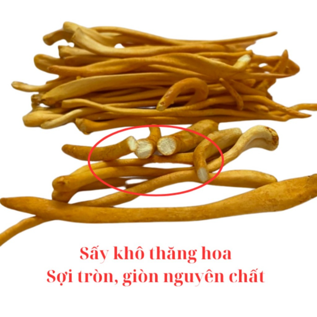 Đông Trùng Hạ Thảo Nguyên Con SATOSO – Loại Thượng Hạng – Hũ 10 Con - Ảnh 2