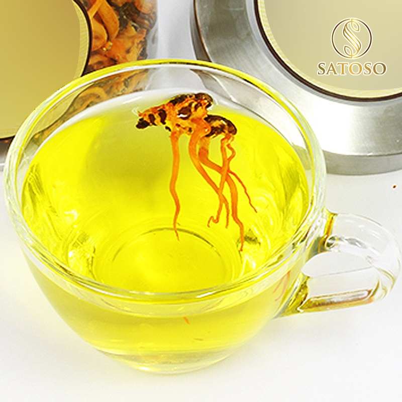 Đông Trùng Hạ Thảo Nguyên Con SATOSO – Loại Thượng Hạng – Hũ 10 Con - Ảnh 5