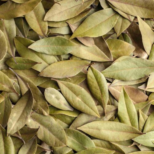 Lá nguyệt quế khô thương hiệu SATOSO