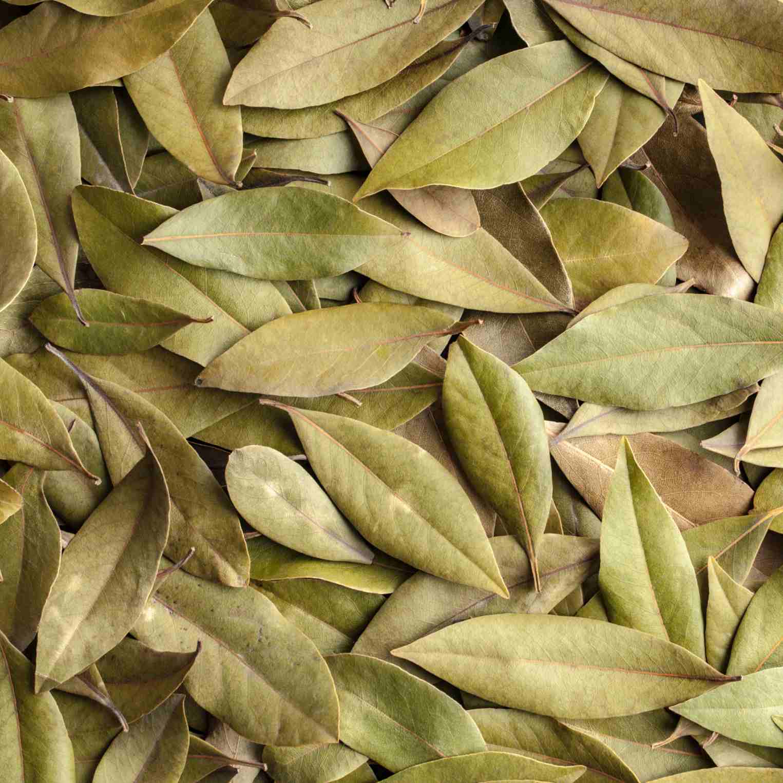 Lá nguyệt quế khô thương hiệu SATOSO