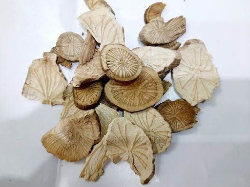 Phòng kỷ khô SATOSO - Ảnh 4