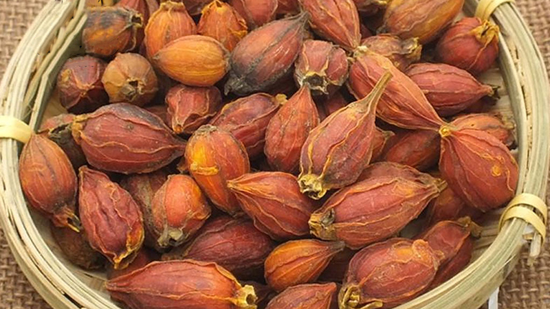 Quả dành dành khô thương hiệu SATOSO - Ảnh 2