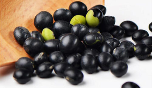 Đậu đen xanh lòng thương hiệu SATOSO