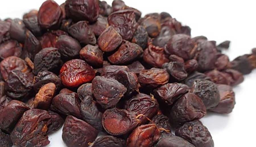 Hạt dổi khô thương hiệu SATOSO