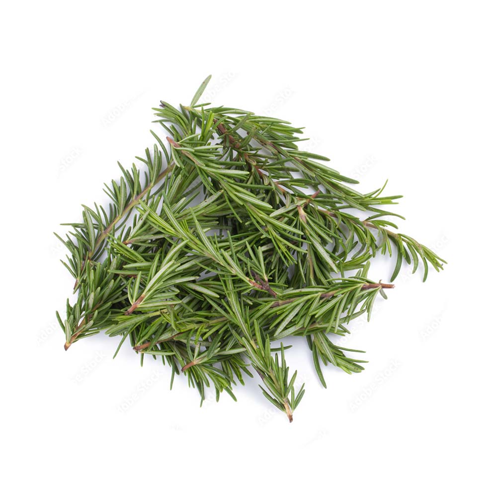 Lá hương thảo khô thương hiệu SATOSO - Ảnh 3