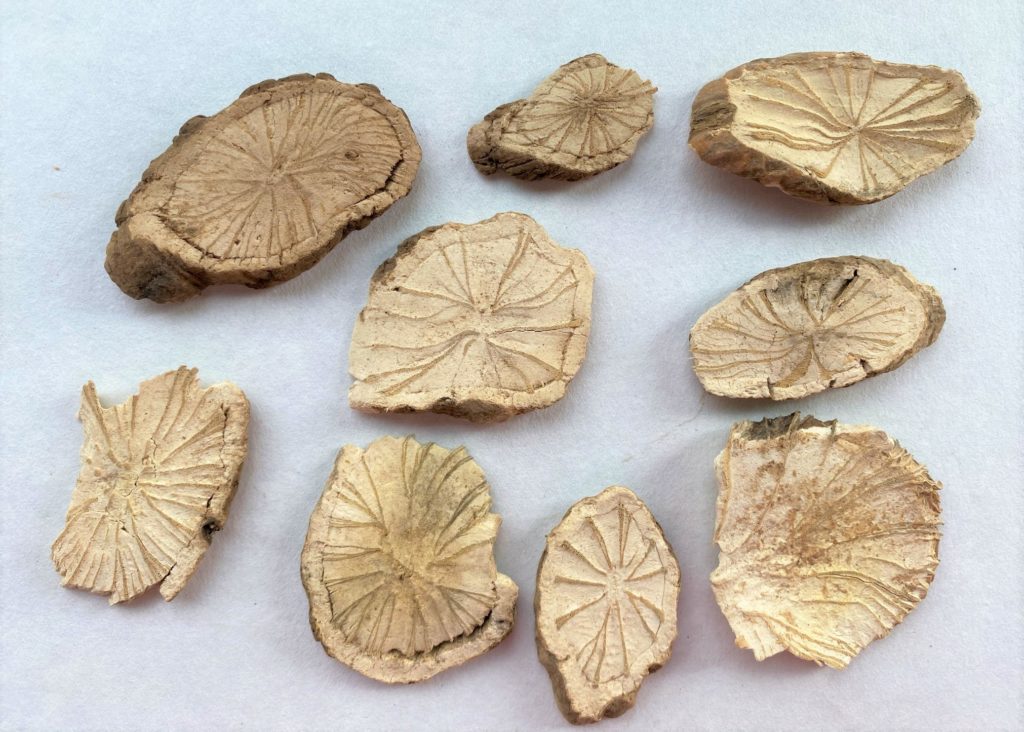 Phòng kỷ khô SATOSO - Ảnh 2