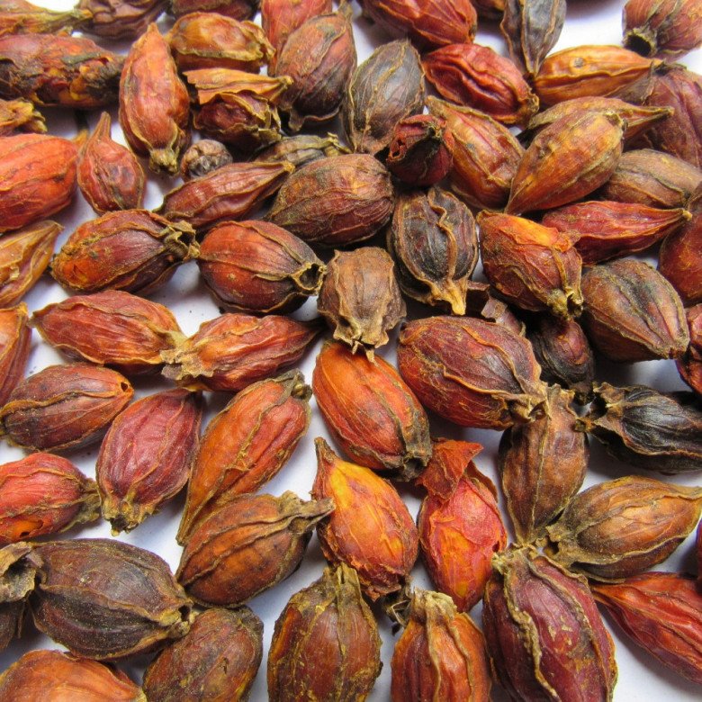 Quả dành dành khô thương hiệu SATOSO