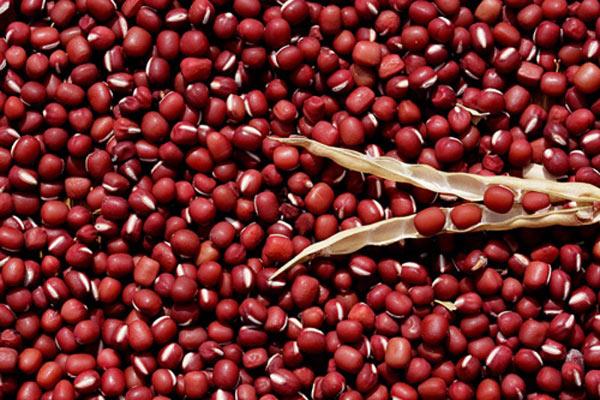 Đậu đỏ thương hiệu SATOSO