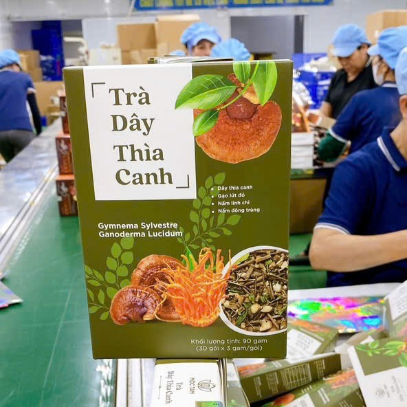 Trà Dây Thìa Canh túi lọc Mộc Tâm - Ảnh 4