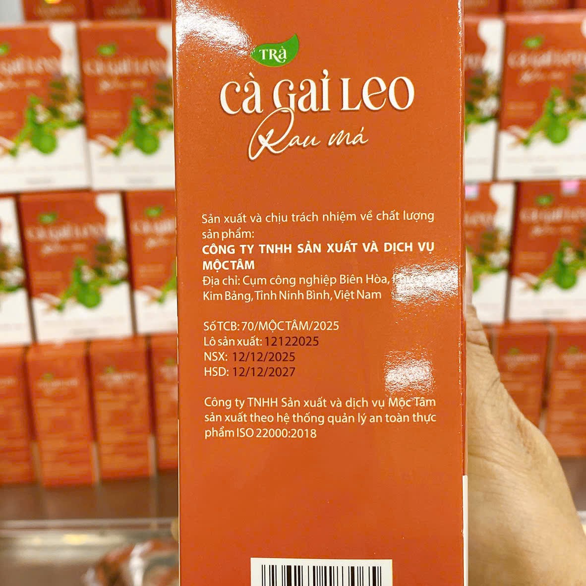 Trà Cà Gai Leo Rau Má Mộc Tâm - Ảnh 2